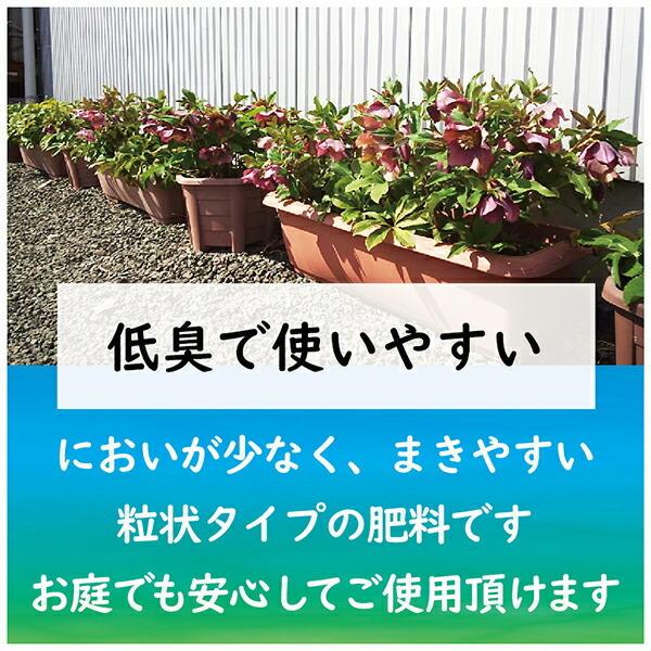 東商 肥料 クリスマスローズ クレマチスの肥料 500g E Hanas イーハナス Yahoo 店 通販 Yahoo ショッピング