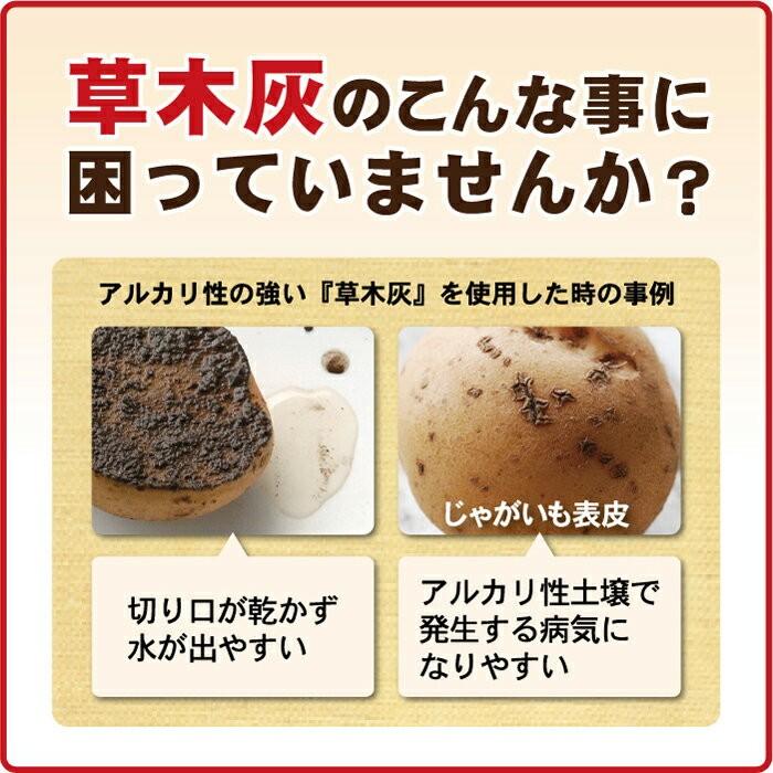 じゃがいも切り口保護材 80g (種イモ 約3kg分) 東商 連作障害