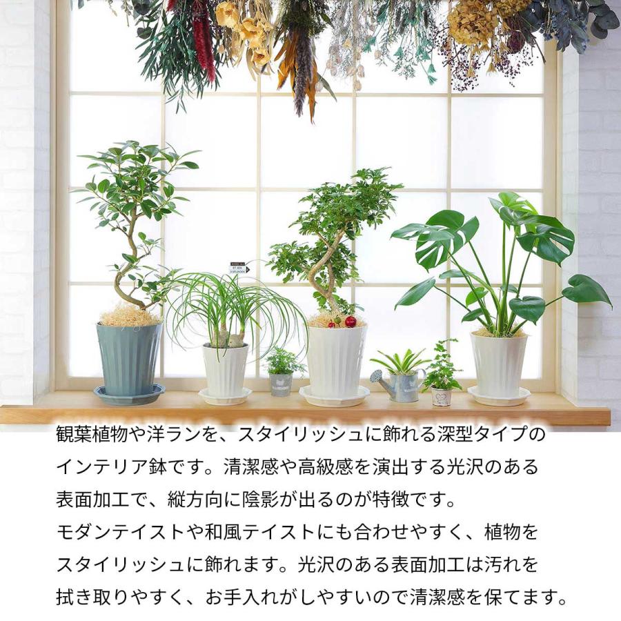 まとめ買い 20個入 グロスポット 10号 ホワイト アップルウェアー 300Φ×310 土容量13L 鉢 送料無料
