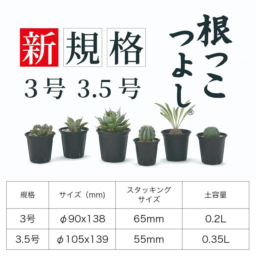 根っこつよし7号、8号、9号、10号 とリキダス800mlセット③ Amazon.co