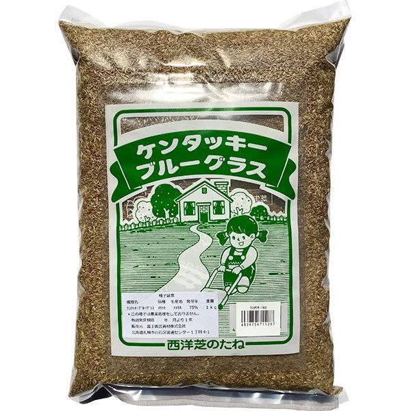 西洋芝の種 ケンタッキーブルーグラス 1kg 種 芝 種 芝生 種 西洋芝 種 種子 芝 種子 芝生 種子 西洋芝 種子 芝の種 芝生の種（Yahoo!・e-hanas(イーハナス)Yahoo!店）