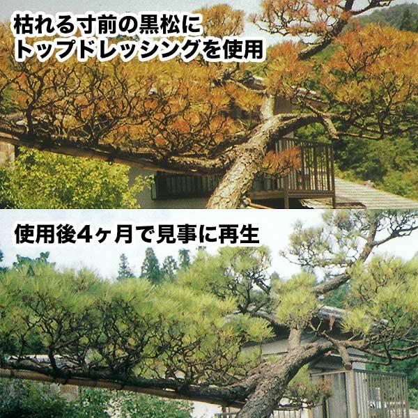 肥料 トップドレッシング ノズル付き 12kg マルタ小泉 肥料 バラ 肥料 樹木 肥料 果樹 肥料 盆栽 肥料 液体肥料 バラ 液肥 果樹 液肥 盆栽 液肥 バラ肥料_2