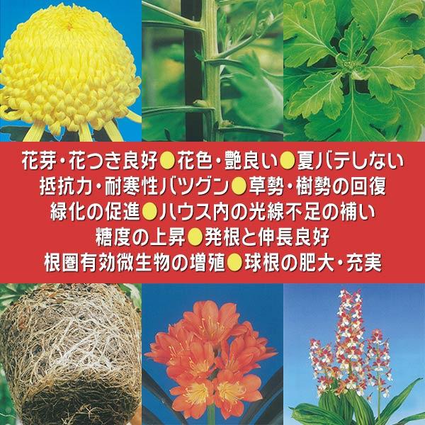 肥料 トップドレッシング 460g マルタ小泉 バラ 樹木 果樹 盆栽