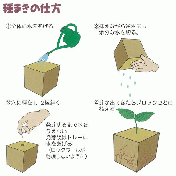 ロックウール栽培マット 84P 大和プラスチック 挿し木・種まきに