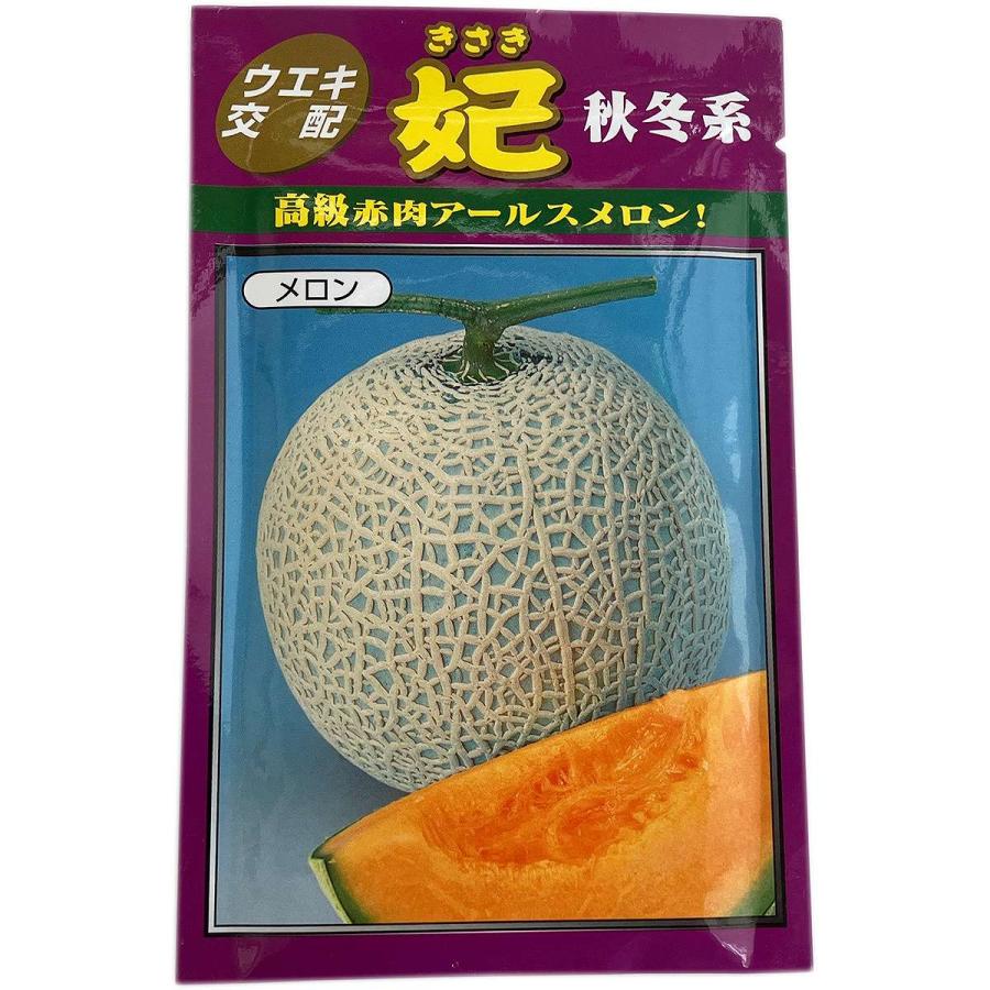 横浜植木 大容量 営利種子 妃 秋冬系赤肉 メロン 100粒 高級メロン 種