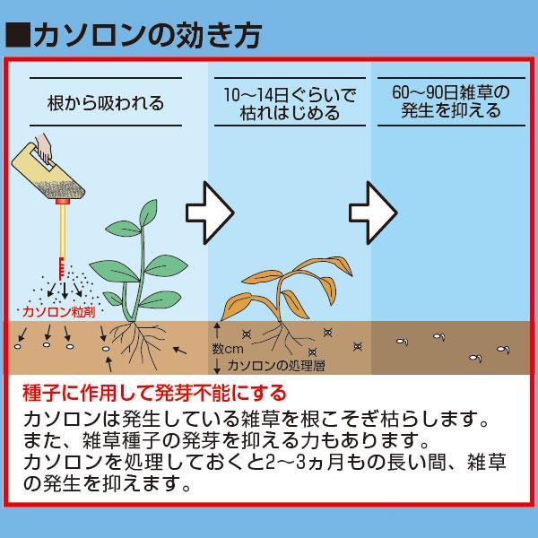 カソロン粒剤6.7 3kg アグロカネショウ 水田用除草剤 畦畔 果樹・樹木用除草剤 まくだけ簡単除草 雑草防除 雑草対策 除草剤｜e-hanas｜03