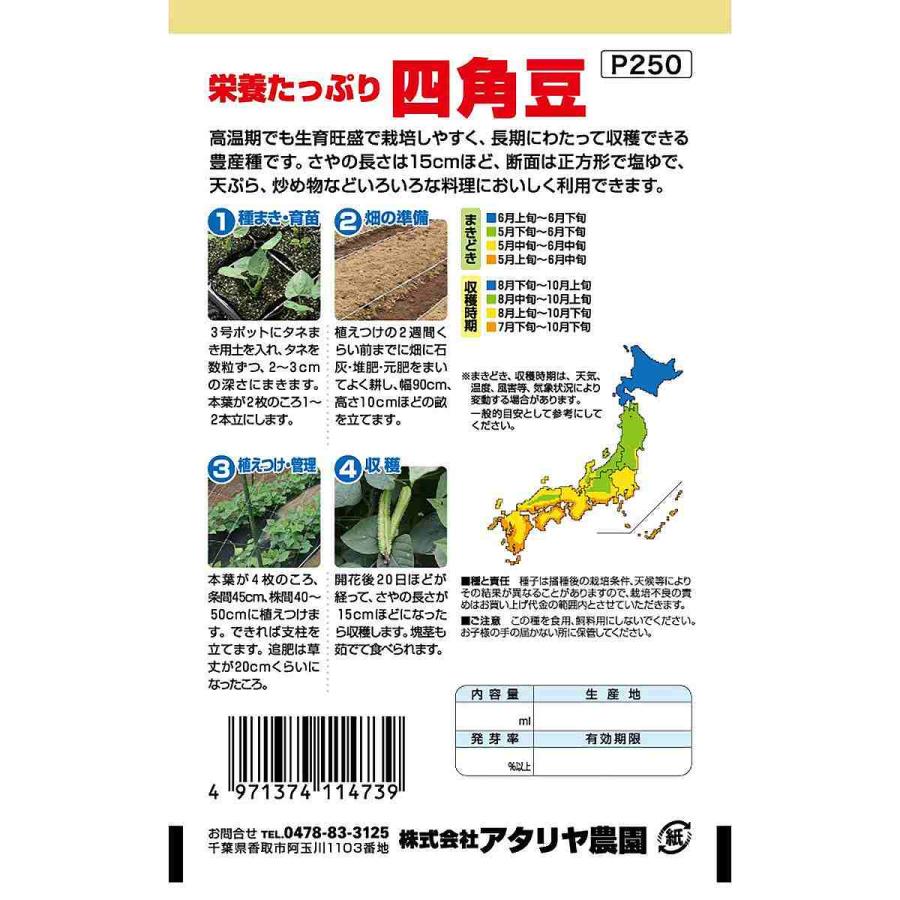 四角豆 アタリヤ農園 栄養豊富な夏野菜 沖縄ではウリズンと呼ばれる 栄養価の高い豆 野菜種 M｜e-hanas｜02