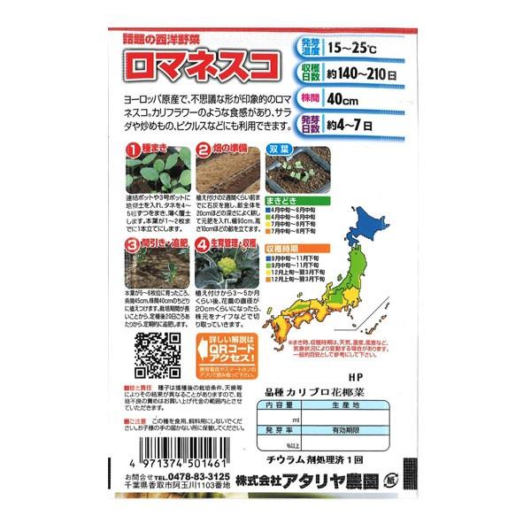 アタリヤ農園 西洋野菜 ロマネスコ M E Hanas イーハナス Yahoo 店 通販 Yahoo ショッピング