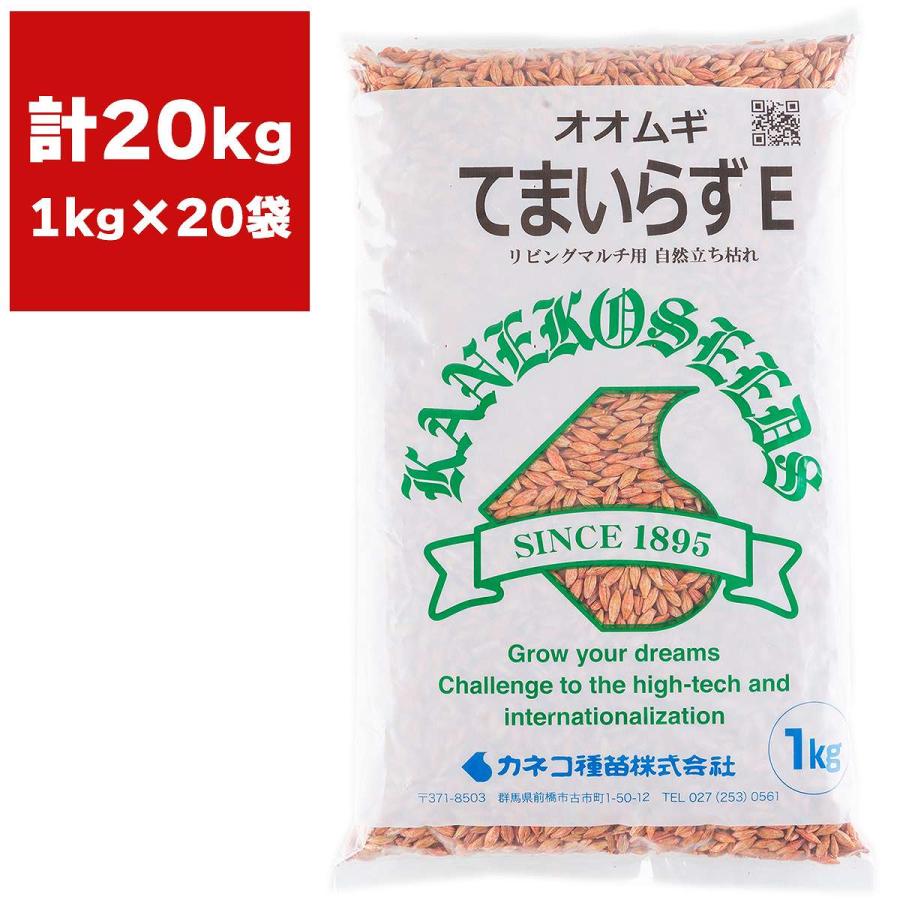 オオムギ てまいらずE 20kg (1kg×20袋) カネコ種苗 リビングマルチ