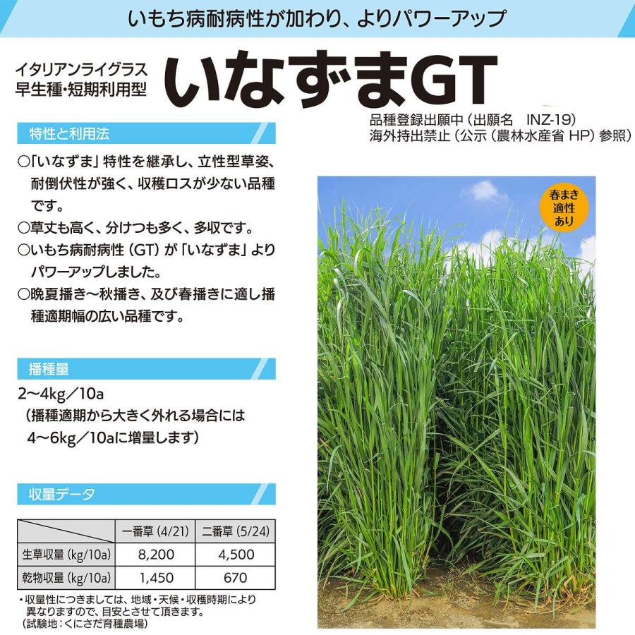 イタリアンライグラス いなずまGT 20kg(1kg×20袋) カネコ種苗 牧草