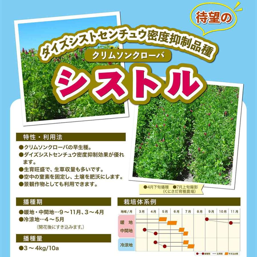 クリムソンクローバ シストル 5kg (500g×10袋) カネコ種苗 緑肥種 緑肥 種 緑肥 種子 緑肥の種 景観用種子 景観用緑肥 種 緑肥 線虫 対策_1