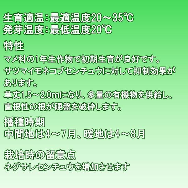 緑肥 クロタラリア ジュンセア 1kg×10袋 カネコ種苗 緑肥 種 緑肥 種子 緑肥 業務用 種子 緑肥 業務用 種 景観用 緑肥 種 景観用 緑肥 種子 景観用緑肥_1