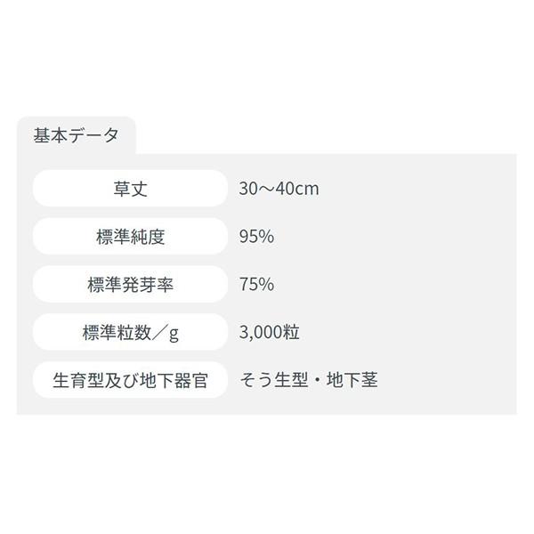 ケンタッキーブルーグラス 1kg カネコ種苗 芝種｜e-hanas｜02