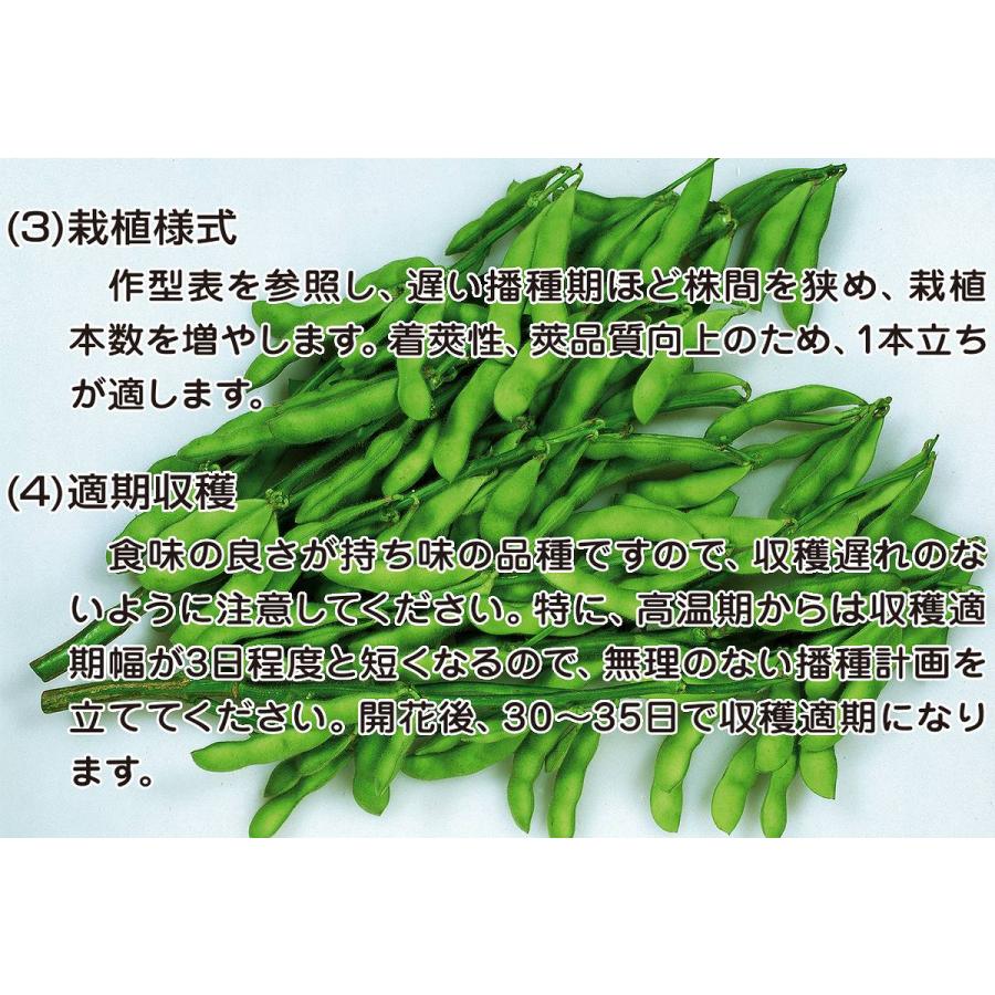 夏の逸品 湯あがり娘 エダマメ 2000粒 カネコ種苗 枝豆 野菜種 送料無料 M1｜e-hanas｜06