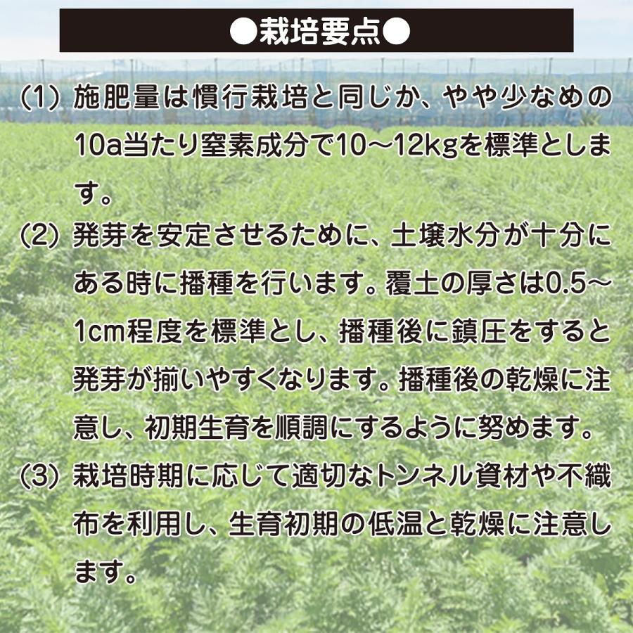 大容量 営利種 カネコ交配 紅琳(こうりん) ニンジン 2dl カネコ種苗 野菜 種 野菜 種子 にんじん 種 ニンジン 種 人参 種 野菜の種 野菜種子の画像