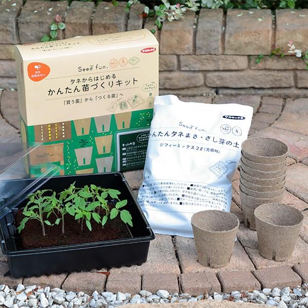 タネからはじめる かんたん苗づくりキット サカタのタネ Seedfun