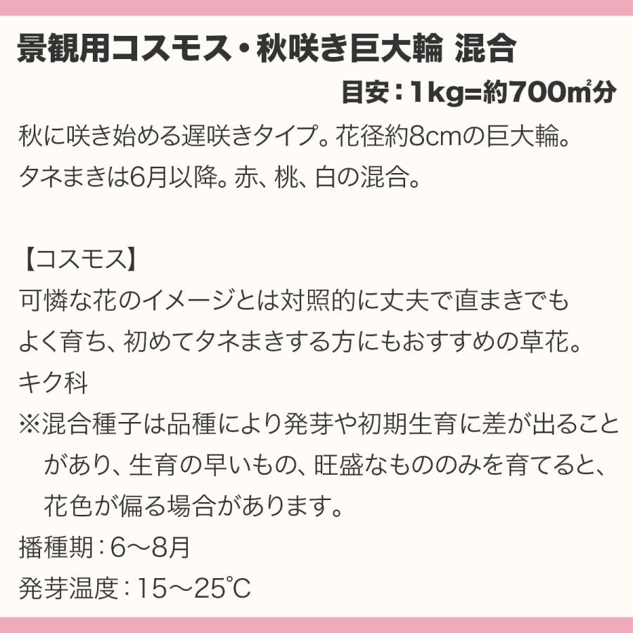 花の種 景観用 コスモス 秋咲き 巨大輪 混合 10kg (1kg×10袋) タキイ種苗 種 花 種 コスモス 種 花の種 たね はなのたね 花たね 花の種子 コスモス種 秋桜の画像