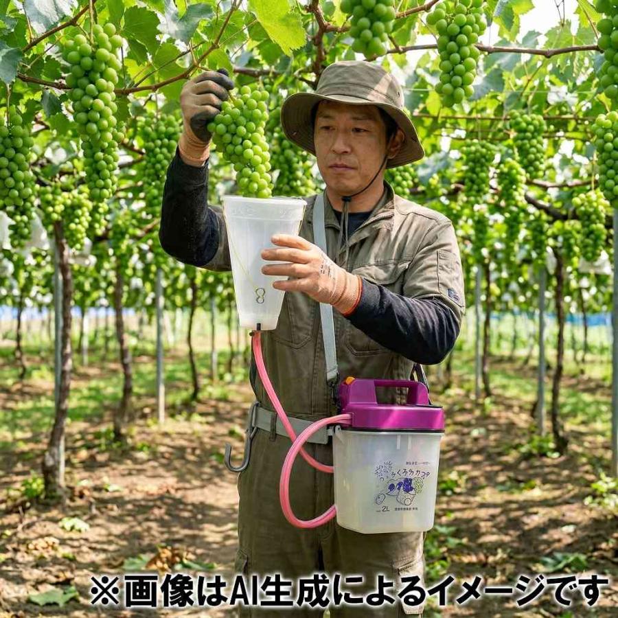 電池式 ジベレリン処理器 らくらくカップ3 (特大カップ付) 中川製作所