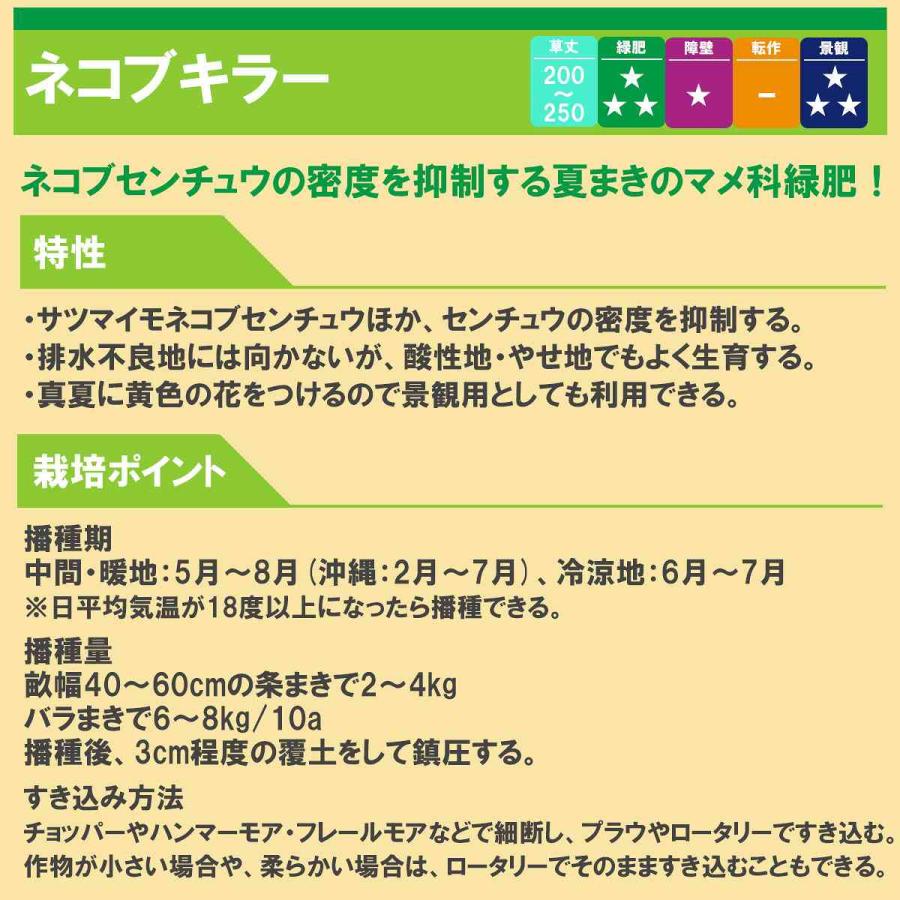 クロタラリア ネコブキラー 5kg (1kg×5袋) タキイ種苗 緑肥 種 緑肥 種子 緑肥 業務用 種子 緑肥 業務用 種 景観用 緑肥 種 景観用 緑肥 種子 景観用緑肥_1