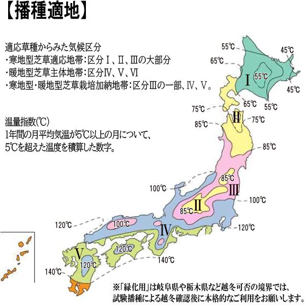 有効期限 26年1月まで 芝種 センチピードグラス ティフ・ブレア 1kg