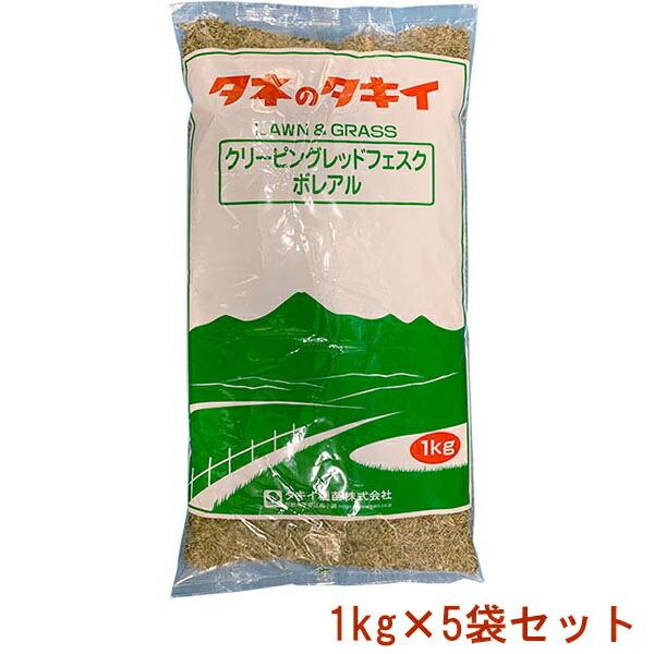 [【即日発送】 ] MSXYWG2YDKL (MSXYWG2YDKL)