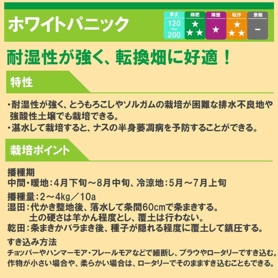 ひえ ホワイトパニック 5kg (1kg×5袋) タキイ種苗 緑肥 種子 牧草 種子 飼料 緑肥 中生 緑肥 種子 緑肥の種 緑肥の種子 稗 種子 ひえの種_1