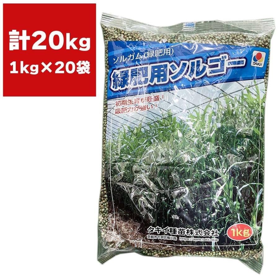 緑肥 ソルガム 緑肥用ソルゴー 20kg (1kg×20袋) タキイ種苗 種 種子