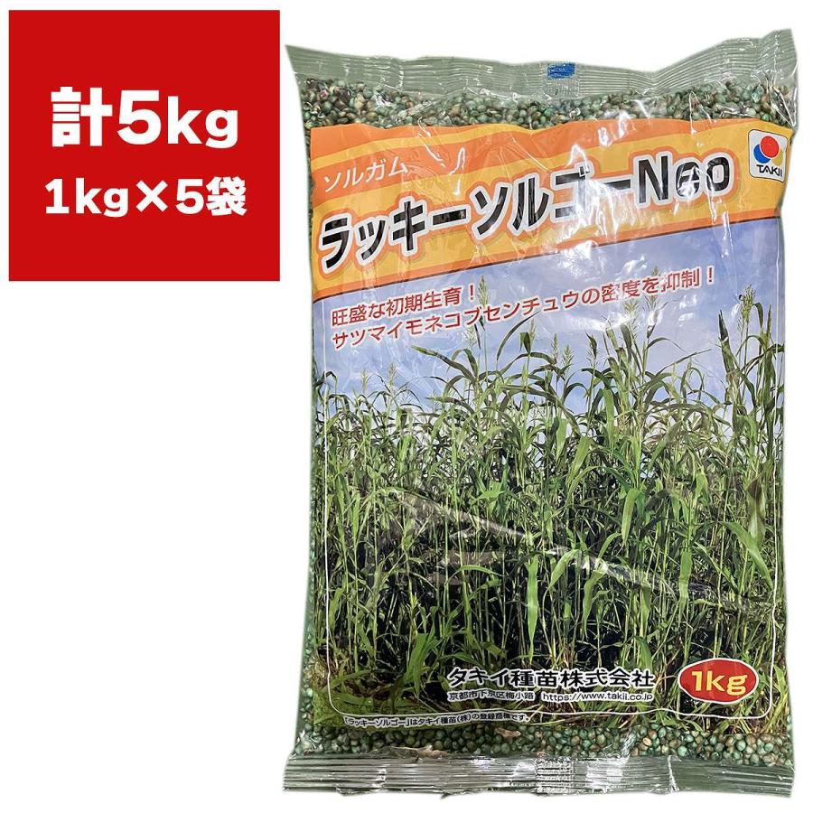 緑肥 ソルガム ラッキーソルゴーNeo 5kg (1kg×5袋) タキイ種苗 種 種子 ソルゴー 業務用 ソルゴーの種 : e-hanas ...