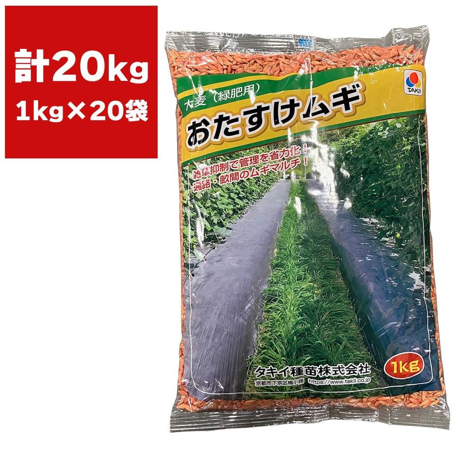 大麦(緑肥用)おたすけムギ 20kg (1kg×20袋) タキイ種苗 リビング