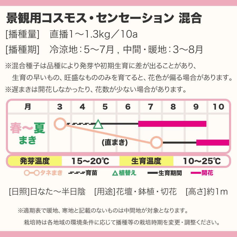 花の種 景観用 コスモス センセーション 混合 10L 約5kg (1L 約500g×10袋) タキイ種苗 種 花 種 コスモス 種 花の種 はなのたね 花たね 花 種子 コスモス種の画像