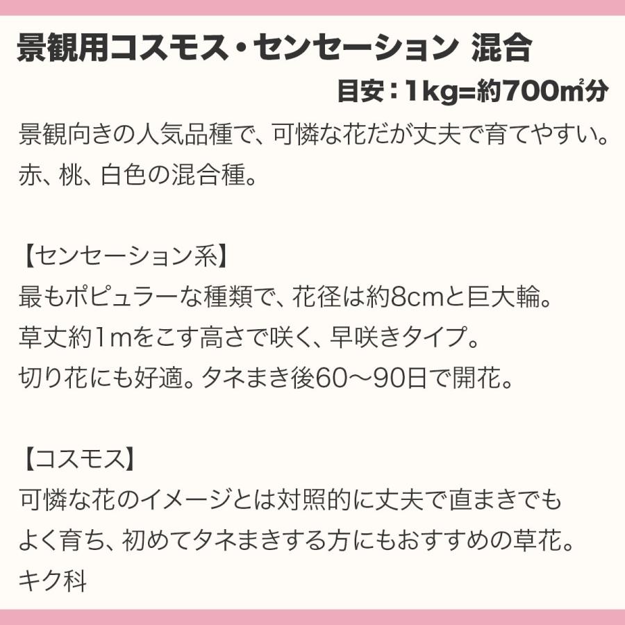 花の種 景観用 コスモス センセーション 混合 1L 約500g タキイ