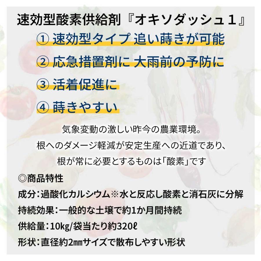 法人限定 速効性酸素供給剤 オキソダッシュ1 10kg×30袋 タキイ種苗 酸素供給剤 オキソダッシュ 1 土壌改良 発根促進 過酸化カルシウム 畑 土づくり 農業資材_1