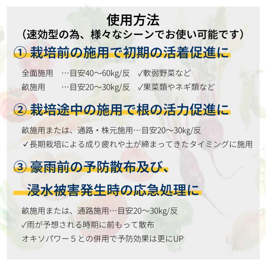 法人限定 速効性酸素供給剤 オキソダッシュ1 10kg×30袋 タキイ種苗 酸素供給剤 オキソダッシュ 1 土壌改良 発根促進 過酸化カルシウム 畑 土づくり 農業資材_2