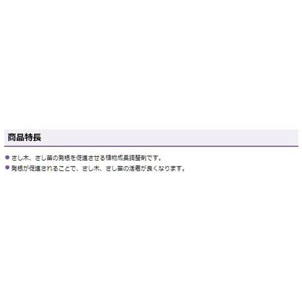 挿し木 挿し苗 発根 ルートン 15g 60個 ケース販売 住友化学園芸 E Hanas イーハナス Yahoo 店 通販 Yahoo ショッピング