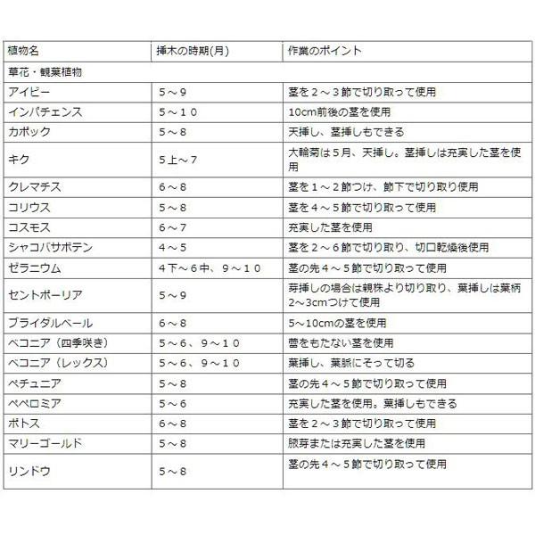 挿し木 挿し苗 発根 ルートン 15g 60個 ケース販売 住友化学園芸 E Hanas イーハナス Yahoo 店 通販 Yahoo ショッピング
