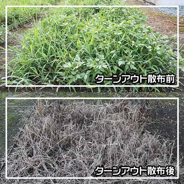 ターンアウト液剤 300ml 住友化学園芸 根まで枯らす除草剤 グリホサート液剤 原液タイプ 緑地管理用 除草剤｜e-hanas｜04