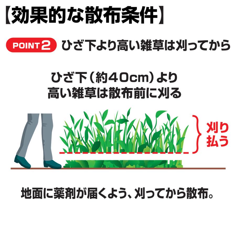 KINCHO園芸 除草剤 クサノンGT粒剤 400g KINCHO園芸 除草剤 顆粒 除草