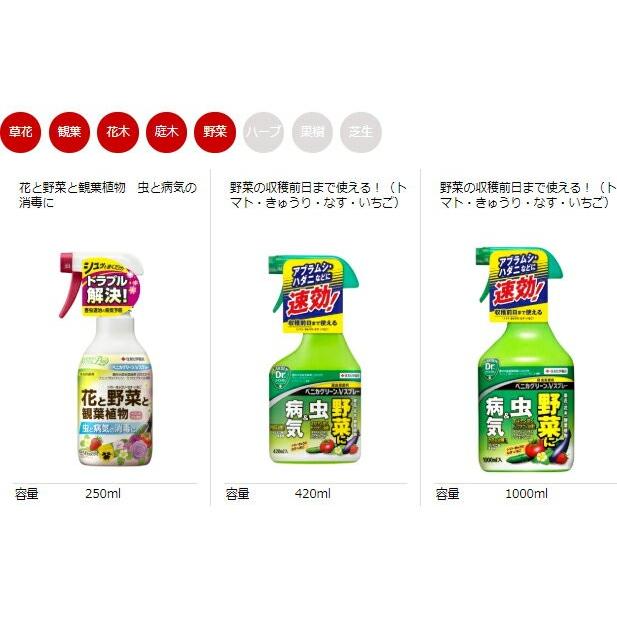 KINCHO園芸 殺虫殺菌剤 ベニカグリーンVスプレー 1000ml KINCHO園芸