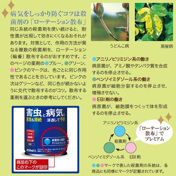 殺虫殺菌剤 マイローズ ベニカXファインスプレー 950ml×15本 KINCHO園芸 殺虫剤 ベニカX 殺虫剤 農薬 殺虫剤 殺菌剤 ベニカX 殺菌剤 農薬 殺菌剤 ベニカの画像
