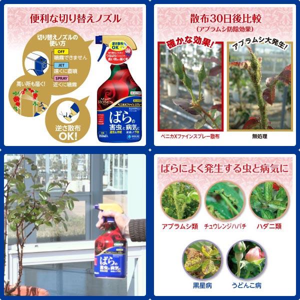 殺虫殺菌剤 マイローズ ベニカXファインスプレー 950ml×15本 KINCHO園芸 殺虫剤 ベニカX 殺虫剤 農薬 殺虫剤 殺菌剤 ベニカX 殺菌剤 農薬 殺菌剤 ベニカの画像