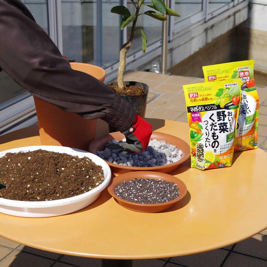 肥料 マイガーデンベジフル 700g×20袋 KINCHO園芸 肥料 野菜 肥料 果樹 肥料 野菜 元肥 野菜 追肥 野菜肥料 野菜の肥料 緩効性肥料 腐植酸 肥料_2