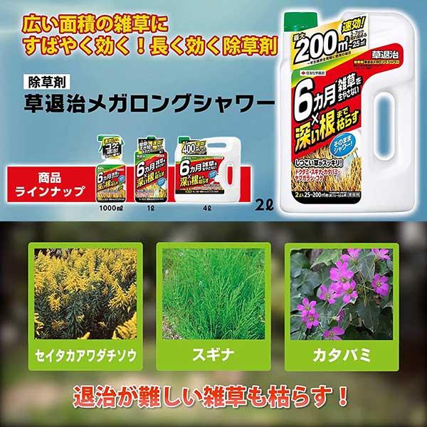 特売 深い根まで枯らし6ヶ月雑草を生やさない まとめ買い 4本入 草退治メガロングシャワー 4l 住友化学園芸 6ヵ月雑草を生やさない 深い根まで枯らす 除草剤 肥料 薬品 Www Solidarite Numerique Fr