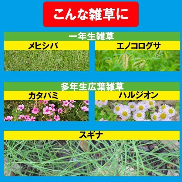 草退治E粒剤 7.5kg 住友化学園芸 根まで徹底除草 約6ヵ月持続 除草剤 (GF草退治Z粒剤の後継品) :4975292604051:e-hanas(イーハナス)Yahoo!店 - 通販 - Yahoo!ショッピング 草退治E粒剤 7.5kg 住友化学園芸 根まで徹底除草 約6ヵ月持続 除草剤 (GF草退治Z粒剤の後継品) :4975292604051:e-hanas(イーハナス)Yahoo!店 - 通販 - Yahoo!ショッピング