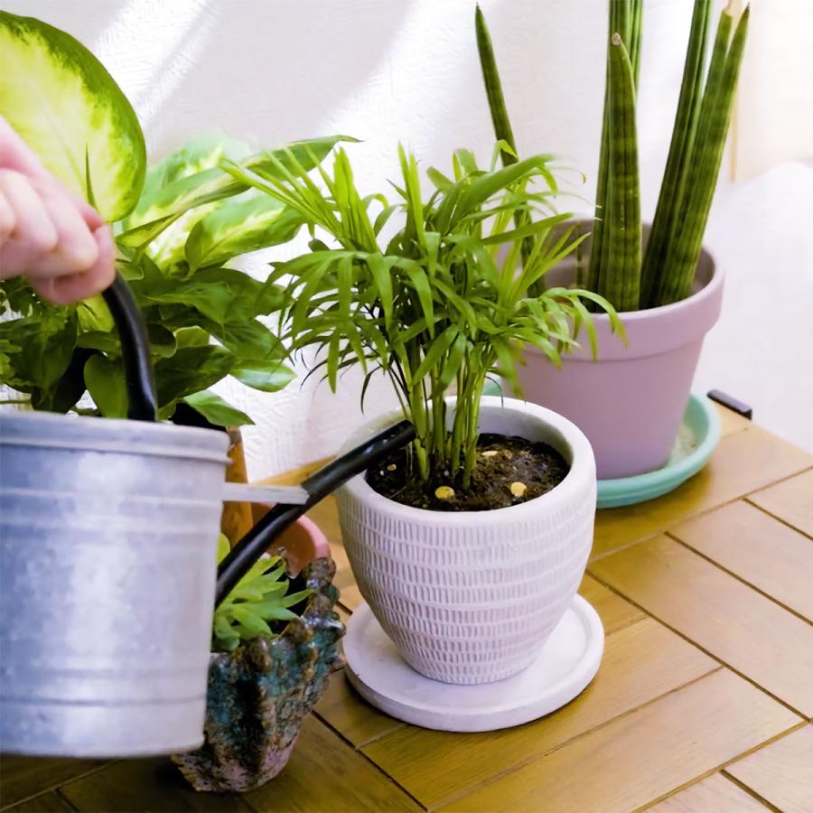 MY PLANTS 長く丈夫に育てるタブレット 約170錠 KINCHO園芸 肥料 観葉