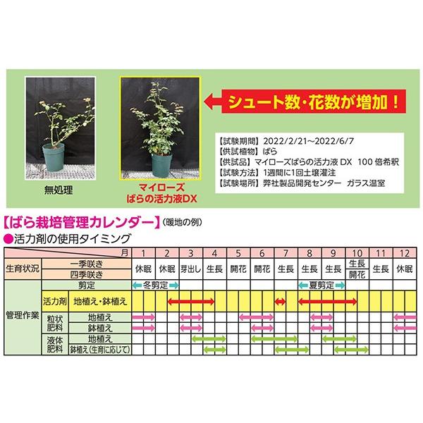 KINCHO園芸 活力剤 マイローズ ばらの活力液DX 800ml KINCHO園芸 活力