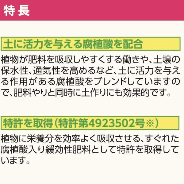 KINCHO園芸 - 肥やし マイ園庭元肥用 1.2kg×12袋 肥やし 芝草 肥やし 薔薇 肥やし 蔬菜 肥やし 草本 肥やし 芝草の肥やし 芝草肥やし 蔬菜肥やし 薔薇の肥やし 緩効性肥やし