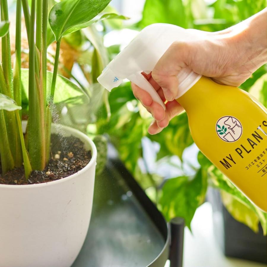 MY PLANTS 殺虫剤 コバエを退治するミスト 250ml KINCHO園芸 コバエ