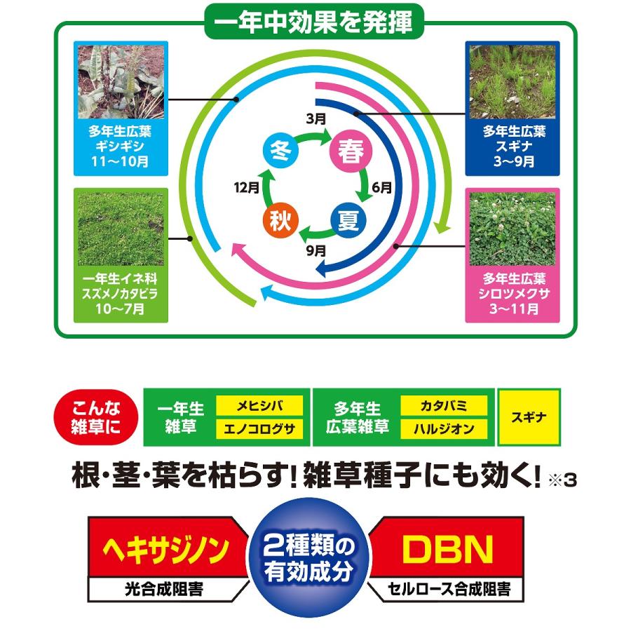除草剤 草退治E 粒剤 8kg×2袋 KINCHO園芸 除草剤 顆粒 除草剤 強力 業務用 除草剤 草退治 除草剤 粒剤 除草剤 ヘキサジノン 粒剤 除草剤 草退治E 除草剤 速効_2