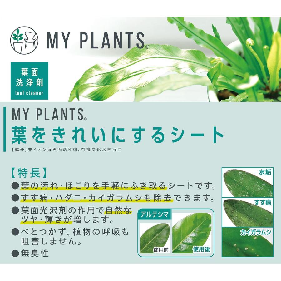 MY PLANTS 葉をきれいにするシート 10枚 KINCHO園芸 植物 葉面洗浄剤