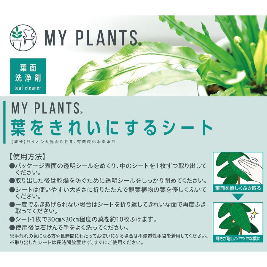 MY PLANTS 葉をきれいにするシート 10枚 KINCHO園芸 植物 葉面洗浄剤